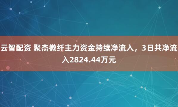 云智配资 聚杰微纤主力资金持续净流入，3日共净流入2824.44万元